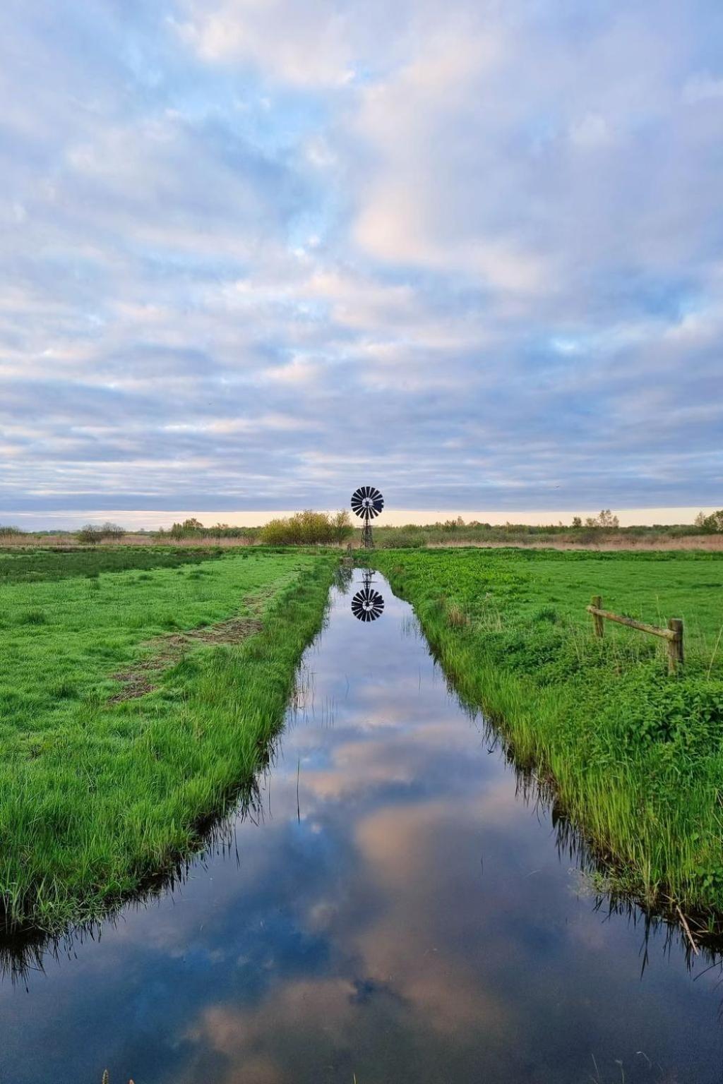 Holiday Home Natuurlijk De Veenhoop By Interhome Kültér fotó